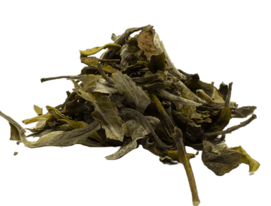 Weißer Tee Pai Mu Tan – Hochwertiger Bio-Tee aus China mit sanftem Aroma