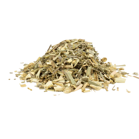 Loser Bio Ingwer-Zitronen-Tee in einer weißen Tasse mit frischer Ingwerscheibe und Zitronenscheiben auf einem Holzbrett